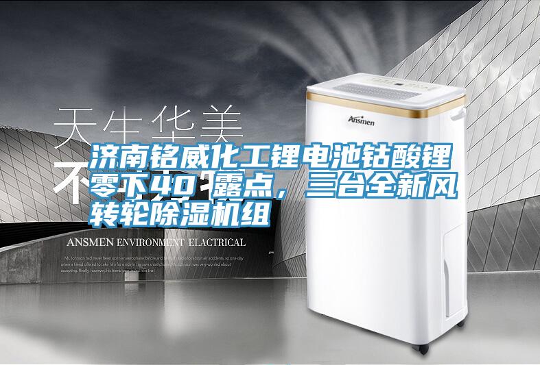 濟(jì)南銘威化工鋰電池鈷酸鋰零下40℃露點(diǎn)，三臺(tái)全新風(fēng)轉(zhuǎn)輪除濕機(jī)組