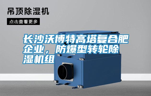 長(zhǎng)沙沃博特高塔復(fù)合肥企業(yè)，防爆型轉(zhuǎn)輪除濕機(jī)組