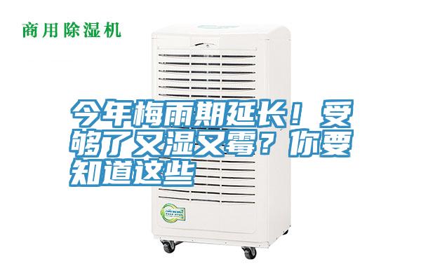 今年梅雨期延長！受夠了又濕又霉？你要知道這些