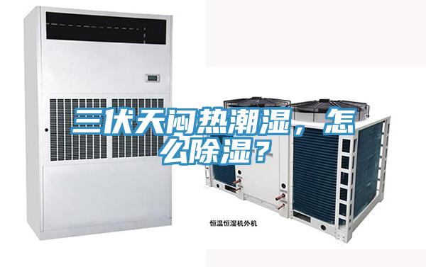 三伏天悶熱潮濕，怎么除濕？