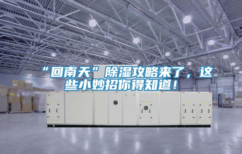 “回南天”除濕攻略來了，這些小妙招你得知道！