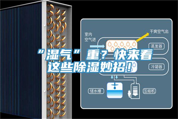 “濕氣”重？快來看這些除濕妙招！