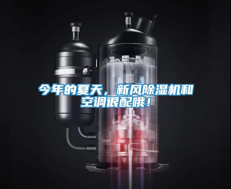 今年的夏天，新風(fēng)除濕機和空調(diào)很配哦！