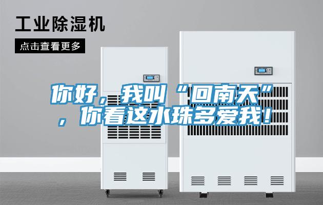 你好，我叫“回南天”，你看這水珠多愛(ài)我！