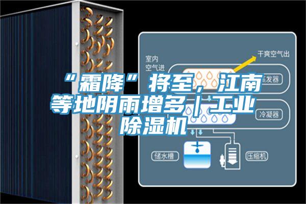 “霜降”將至，江南等地陰雨增多｜工業(yè)除濕機