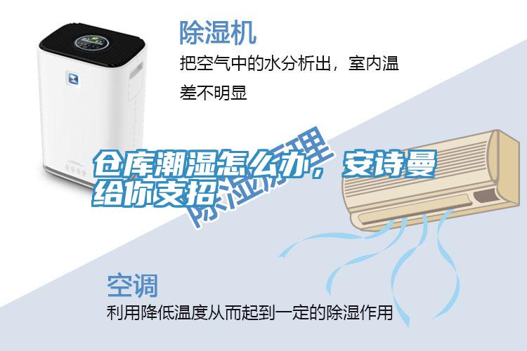 倉庫潮濕怎么辦，安詩曼給你支招