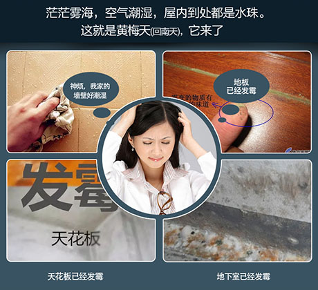 家庭別墅的地下室、衛(wèi)生間、儲物室等該如何除濕？