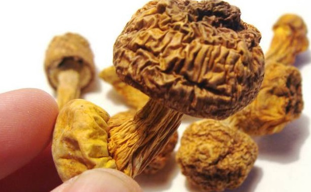 巴西菇、姬松茸烘干機(jī)-怎樣烘干色澤好且菇體褶片完整？