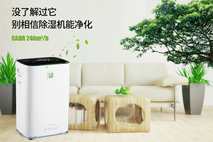 一到回南天狗狗就感冒+皮膚病，怎么辦？