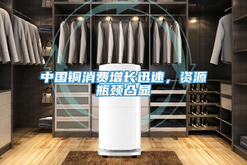 中國銅消費增長迅速，資源瓶頸凸顯