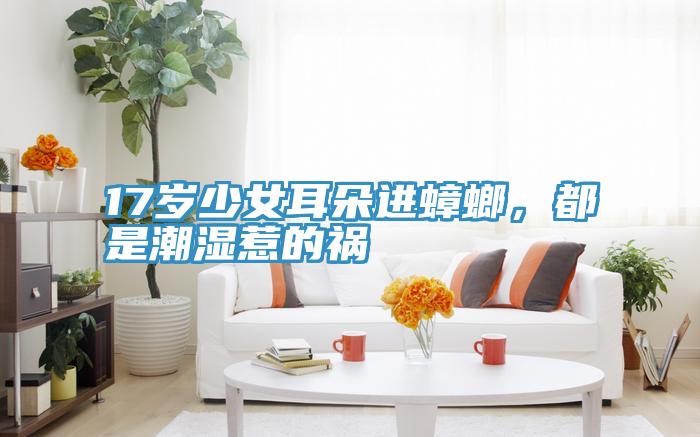 17歲少女耳朵進蟑螂，都是潮濕惹的禍