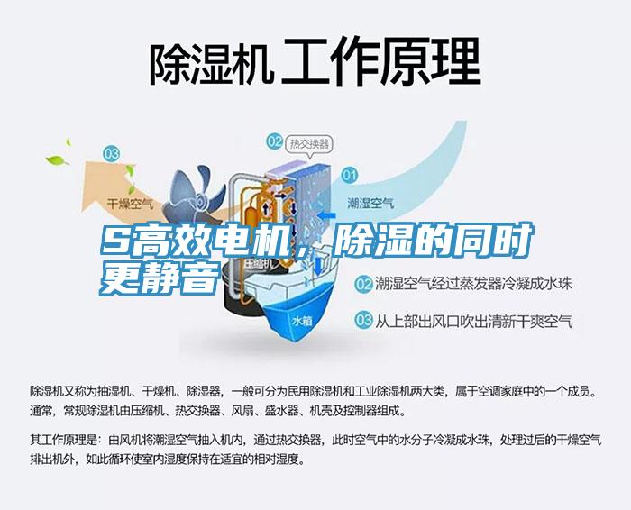 S高效電機(jī)，除濕的同時更靜音
