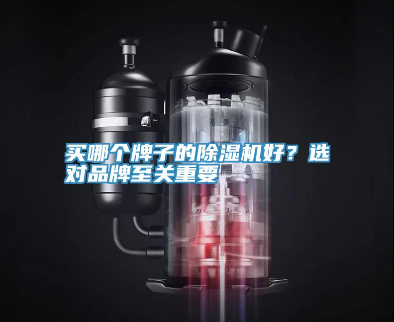 買哪個牌子的除濕機(jī)好？選對品牌至關(guān)重要