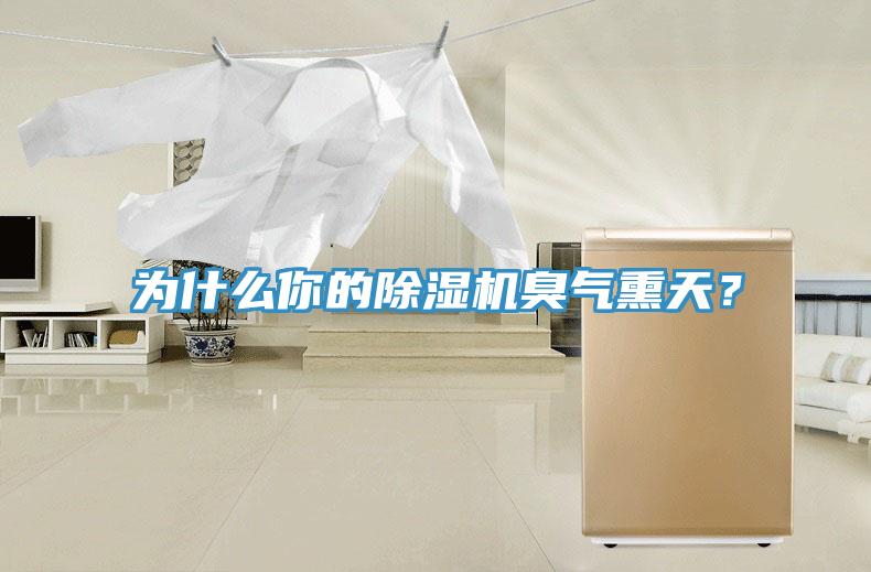 為什么你的除濕機臭氣熏天？