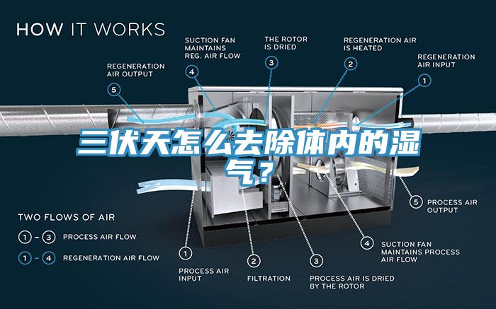 三伏天怎么去除體內(nèi)的濕氣？