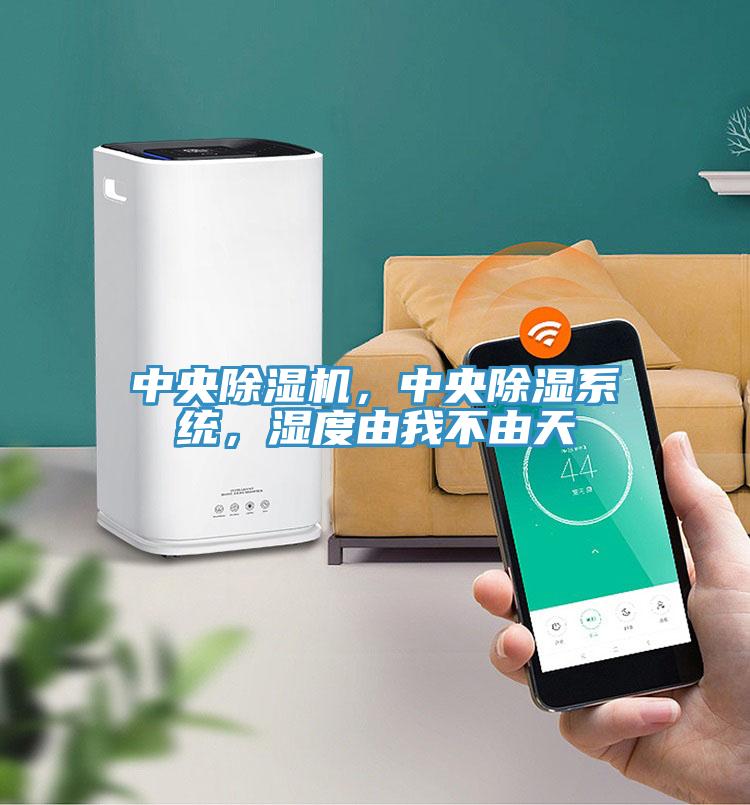 中央除濕機，中央除濕系統(tǒng)，濕度由我不由天