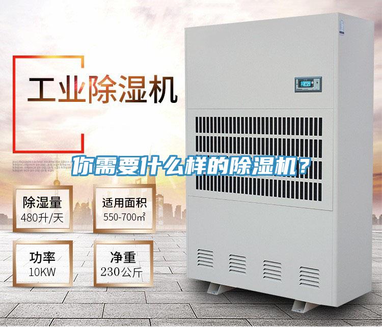 你需要什么樣的除濕機(jī)？