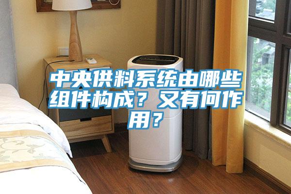 中央供料系統(tǒng)由哪些組件構(gòu)成？又有何作用？