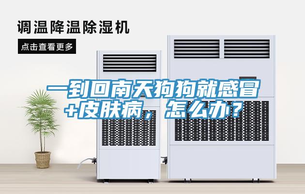 一到回南天狗狗就感冒+皮膚病，怎么辦？