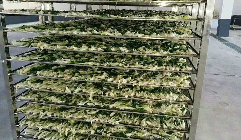 菜干需求一直都很大，蔬菜烘干機很有市場