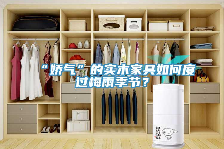 “嬌氣”的實(shí)木家具如何度過梅雨季節(jié)？