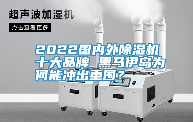 2022國(guó)內(nèi)外除濕機(jī)十大品牌 黑馬伊島為何能沖出重圍？