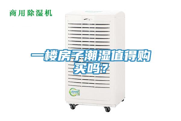 一樓房子潮濕值得購買嗎？