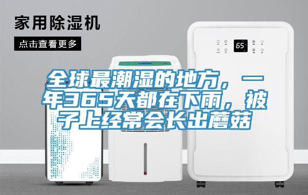 全球最潮濕的地方，一年365天都在下雨，被子上經(jīng)常會(huì)長出蘑菇