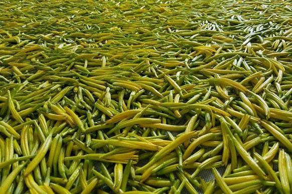 無硫金針菜烘干如何保持品相？不發(fā)黑？_除濕機(jī)廠家