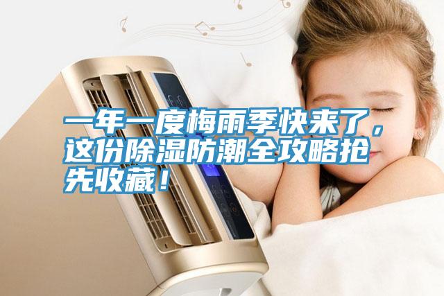 一年一度梅雨季快來了，這份除濕防潮全攻略搶先收藏！
