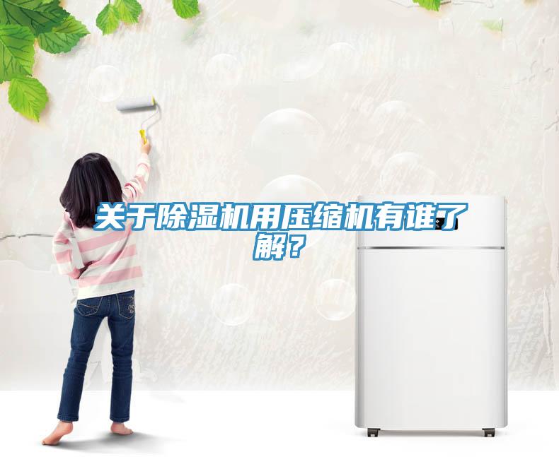 關于除濕機用壓縮機有誰了解？