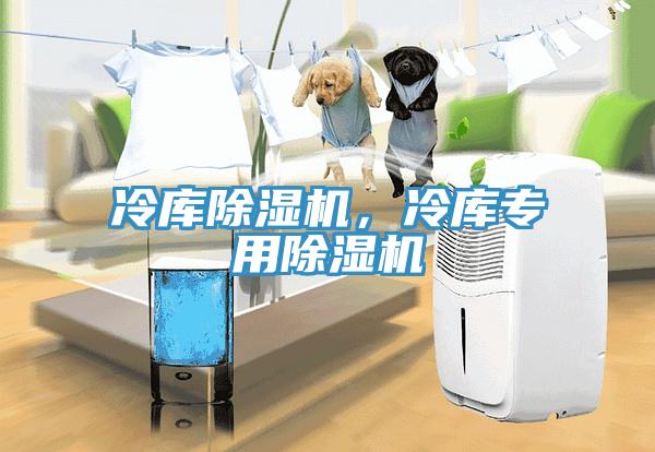 冷庫(kù)除濕機(jī)，冷庫(kù)專(zhuān)用除濕機(jī)