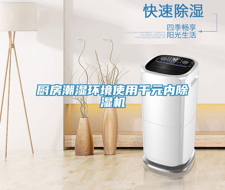 廚房潮濕環(huán)境使用千元內除濕機