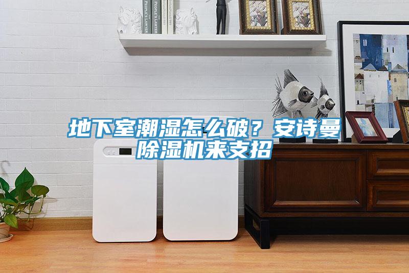 地下室潮濕怎么破？安詩曼除濕機來支招