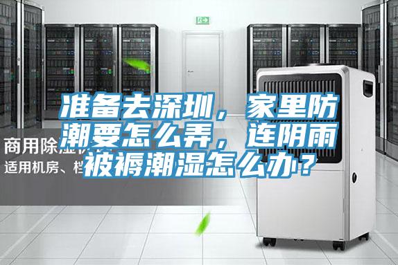 準備去深圳，家里防潮要怎么弄，連陰雨被褥潮濕怎么辦？