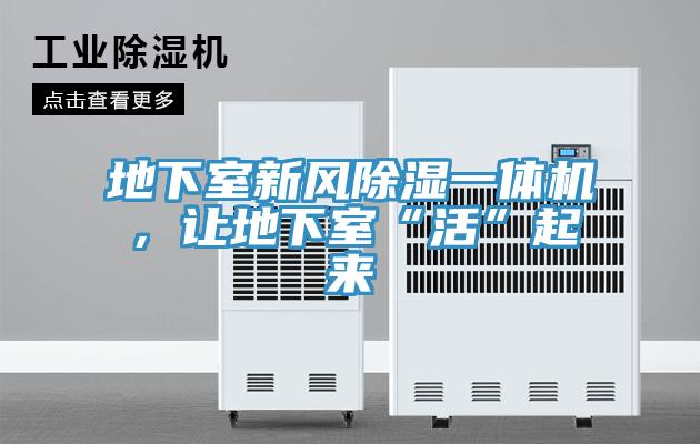 地下室新風(fēng)除濕一體機(jī)，讓地下室“活”起來