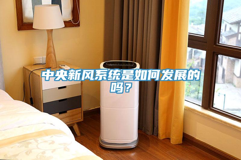 中央新風系統(tǒng)是如何發(fā)展的嗎？