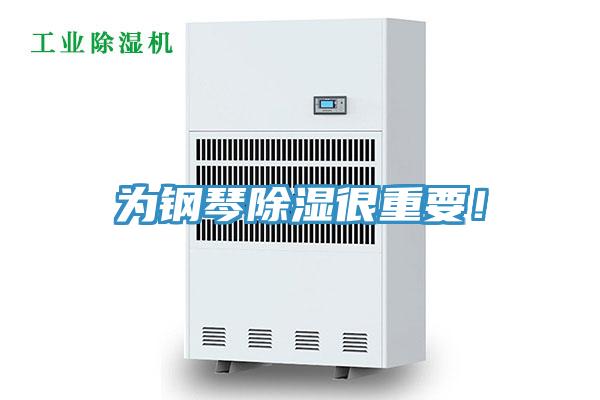 為鋼琴除濕很重要！