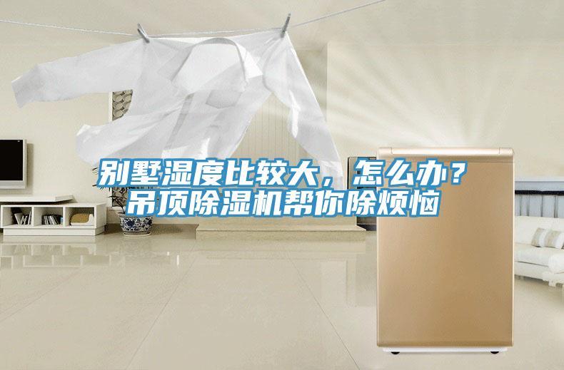 別墅濕度比較大，怎么辦？吊頂除濕機(jī)幫你除煩惱