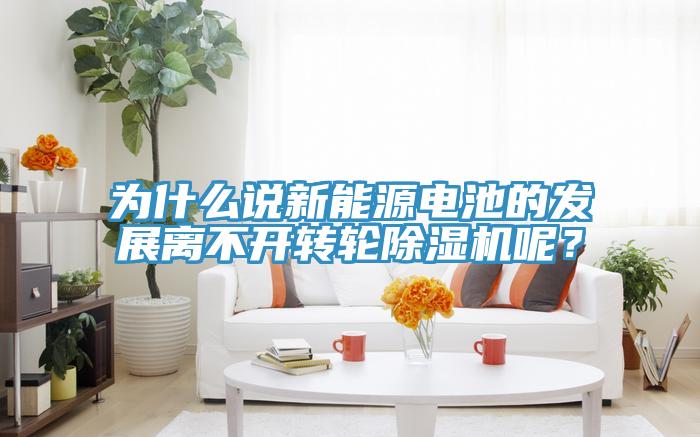 為什么說新能源電池的發(fā)展離不開轉(zhuǎn)輪除濕機(jī)呢？