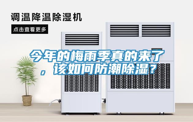 今年的梅雨季真的來(lái)了，該如何防潮除濕？