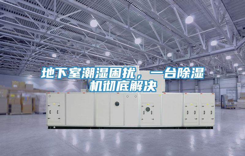地下室潮濕困擾，一臺除濕機徹底解決