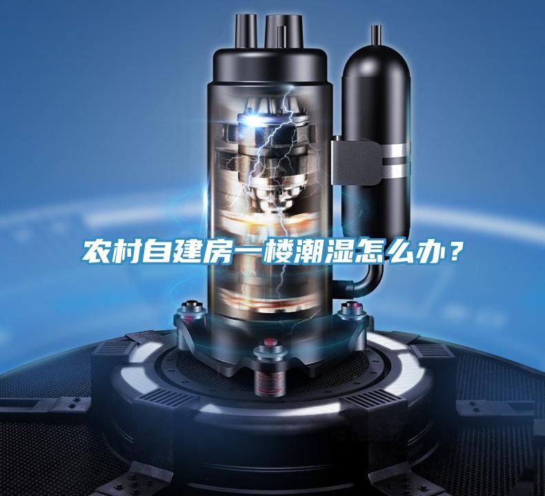 農(nóng)村自建房一樓潮濕怎么辦？