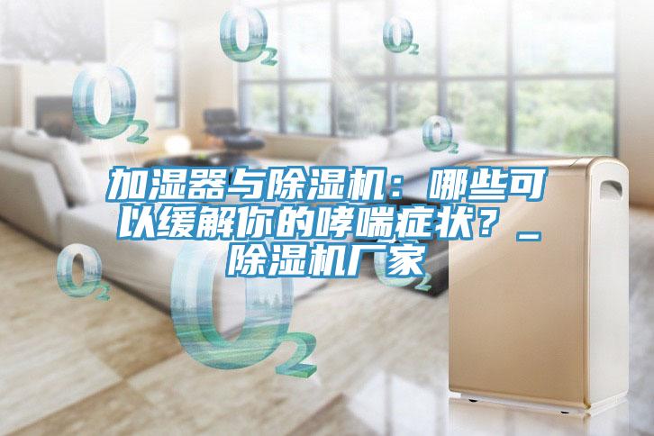 加濕器與除濕機：哪些可以緩解你的哮喘癥狀？_除濕機廠家