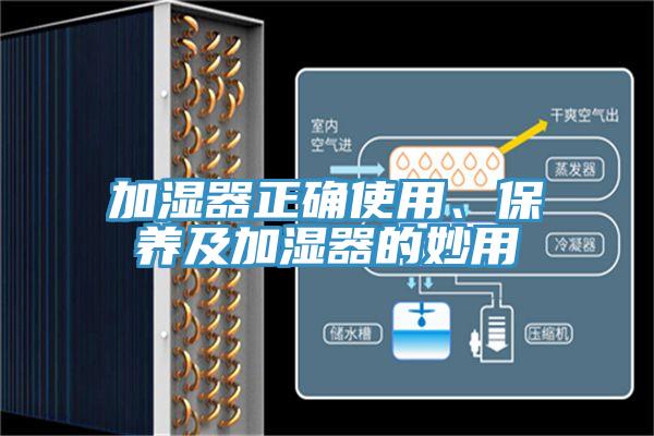 加濕器正確使用、保養(yǎng)及加濕器的妙用