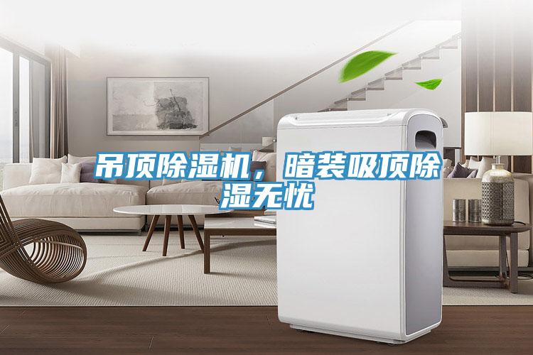 吊頂除濕機，暗裝吸頂除濕無憂