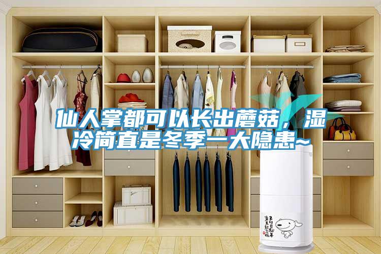 仙人掌都可以長(zhǎng)出蘑菇，濕冷簡(jiǎn)直是冬季一大隱患~
