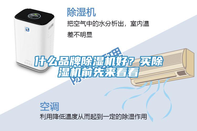 什么品牌除濕機(jī)好？買除濕機(jī)前先來看看