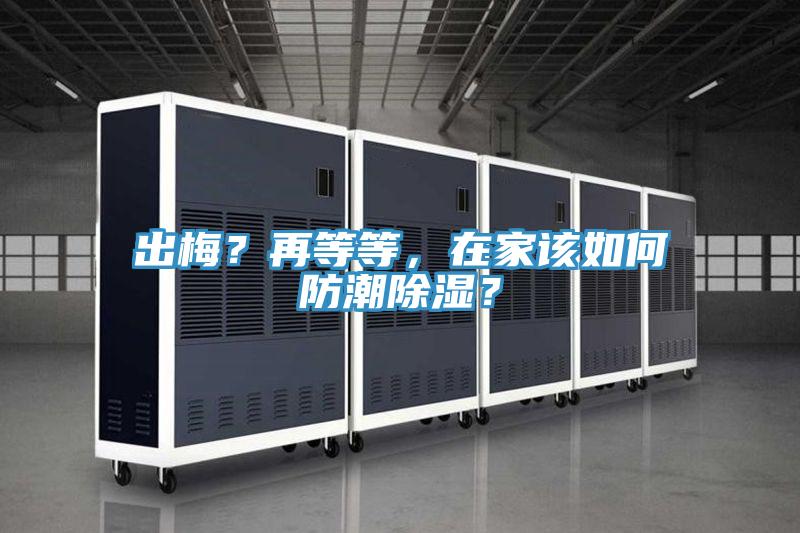出梅？再等等，在家該如何防潮除濕？