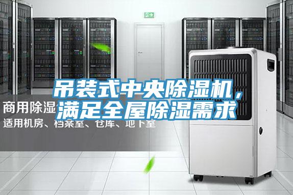 吊裝式中央除濕機(jī)，滿足全屋除濕需求
